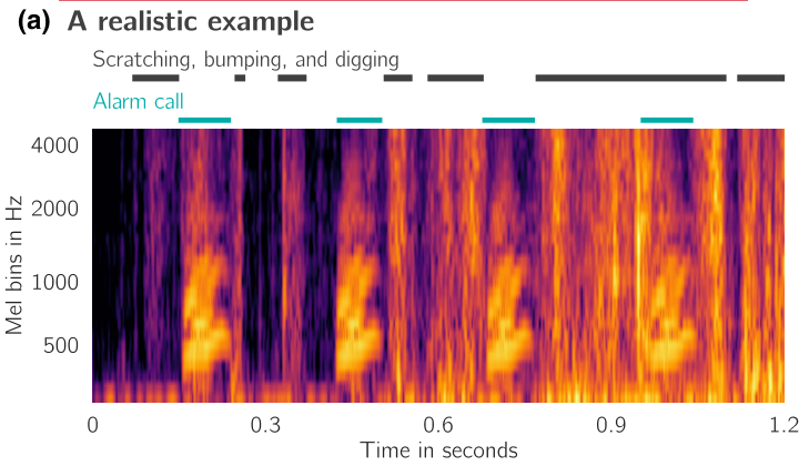 Paper Fig. 1a, cropped: alarm calls amid scratching, bumping, and digging.