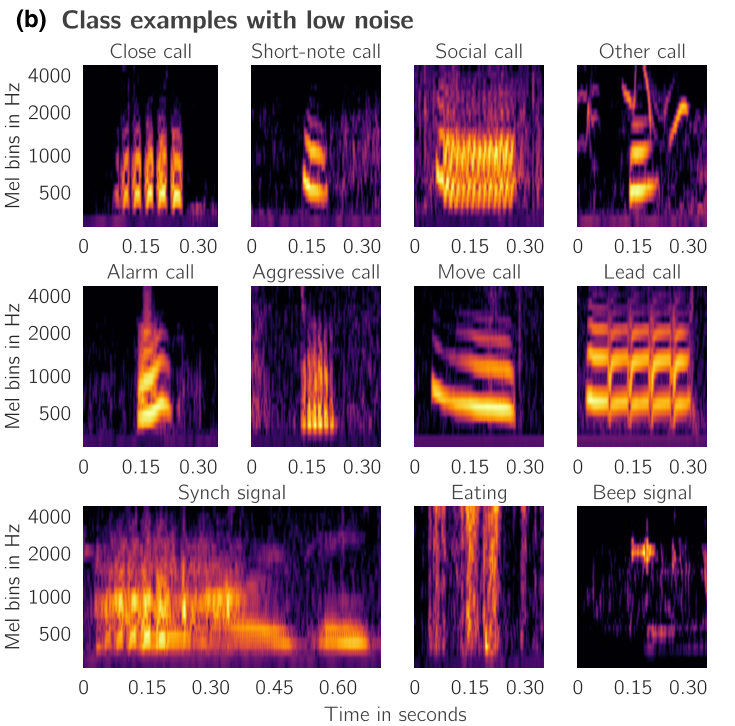 Paper Fig. 1b, cropped: clean examples illustrate spectral diversity.
